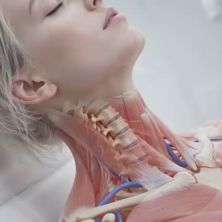 Cervical Massager animation 